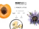 Інтенсивно зволожувальна сироватка Framesi Morphosis Hair Treatment Line Sublim 15 ml - зображення 3