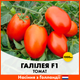 Голландские семена Hazera Томат Галилея F1 1000 шт - изображение 1