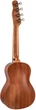 Укулеле концерт Alfabeto Mahogany F - изображение 3