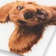 Ваги напольні Zelmer ZBS1010 Crazy dog - зображення 4