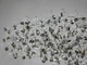 Овальна кришталева люстра-підвіс для вітальні, колір хром 601-L1500GD - зображення 3