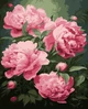 Картина за номерами Artissimo Півонії PN1988 40х50см набір для малювання по цифрах - зображення 1