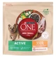 Сухой корм PURINA ONE Mini/Small Active для взрослых собак мелких пород с повышенной активностью с курицей и рисом 800 г - изображение 1