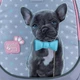 Рюкзак шкільний Kite Studio Pets 38x28x16 см Сірий (SP24-700M) - зображення 16