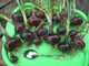 Семена Лук репчатый Черный принц, 1 г (Агромакси) - изображение 3