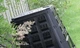 Компостер Prosperplast Evogreen 420 л чорний (IKEV420C-S411) - зображення 2