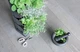 Міні-каскадний вертикальний сад Mini Cascade антрацит Prosperplast IO1W200S-S433 - зображення 3