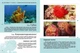 Комахи та інші/Жабська Тетяна/978-966-935-238-5 - изображение 3