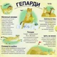 Хто ховається між листям й у воді?/Ганачкова Павла/9786177563999 - изображение 2