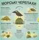 Хто ховається між листям й у воді?/Ганачкова Павла/9786177563999 - изображение 4