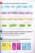 Європейські канікули: літній зошит. Закріплюю вивчене за 1 клас/Шульц Петр/9789669440952 - изображение 4