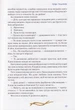 Піратські історії/Щербина Маруся/9789662792393 - изображение 6