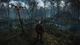 Games Software The Witcher 3: Wild Hunt Complete Edition [BD disk] (PS4) - зображення 6