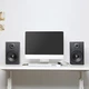 Студийные мониторы SKY SOUND MS-65 BLACK (Pair) - изображение 4