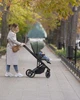 Коляска детская прогулочная CARRELLO Alfa CRL-5508 Sea Green Зеленая - изображение 4