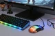 2E Gaming Клавіатура KG345 RGB 68key USB Transparent - зображення 2