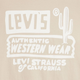 Футболка бавовняна чоловіча Levi's Graphic Crewneck Tee 22491-1490 L Western W (5401128654352) - зображення 6