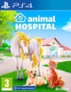 Animal Hospital (PS4, русские субтитры) - изображение 1