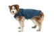 Пальто для собак Ruffwear Stumptown™ XL Синій - зображення 11