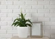Вазон Plastkon Quadrato Flower Lover 18 x 18 x 17 см с оросительной системой Белый (8595096980869) - изображение 3