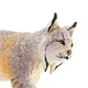 Фігурка Рись Safari Ltd 181829 - зображення 2