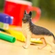 Фигурка Немецкая овчарка Safari Ltd 251729 - изображение 1