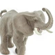 Фігурка Африканський слон Safari Ltd 16,0 см 238429 - зображення 3