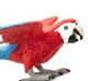 Фигурка Зеленокрылый ара Safari Ltd 263929 - изображение 5