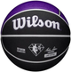 Баскетбольний м'яч Wilson NBA Team SAC Kings, розмір 7, синтетична шкіра, для тренувань та ігор.(OB_F01EC08A79F2) - зображення 1