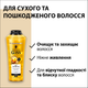 Шампунь Gliss Kur Oil Nutritive 250 мл (9000100398381/9000100398435) - изображение 4