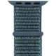 Ремінець Nylon для Apple watch 38mm/40mm Зеленый / Pine green - изображение 4