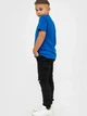 Подростковая футболка для мальчика Stedman ST2200M-BRR 158-164 см Bright Royal (RAY2000000022154) - изображение 4