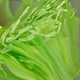 Мешочки сетка из органзы для защиты винограда от насекомых LOSSO 20*30 см, зеленые (100 шт), ячейка 0,5 мм - изображение 9