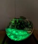 Флорариум с суккулентами и водоемом Морской 15 см (1627) - изображение 3