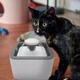 Поилка для животных Pet Water FOUNTAIN Автоматическая поилка - фонтан - изображение 2