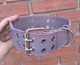 Нашийник для собаки шкіряний з шипами Lockdog, Д 52-62 см, Ш 6 см (ld093_XL) - зображення 5