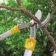 Сучкорез GRUNTEK X-25 Professional (295201655) - изображение 3