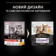 Сухой корм для котят Purina Pro Plan Kitten Healthy start с курицей 10 кг (7613036505307) - изображение 2