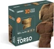 Картонный 3D пазл-конструктор Cartonic 3D Puzzle Torso Male (CARTTORS) - изображение 6