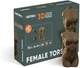 Картонный 3D пазл-конструктор Cartonic 3D Puzzle Female Torso (CARTTORSW) - изображение 5