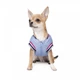 Одежда Pet Fashion Бомбер "Spike" для собак, голубой XS (1111171982) - изображение 2