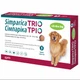 Simparica Trio Сімпаріка ТРІО таблетки для собак вагою 20 - 40 кг (3 шт) - зображення 1