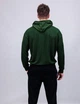 Чоловічий худий демісезонний SPORT24 ATEX 0094 M Худі (AT-0094/11 C ) - зображення 3