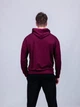 Мужской худи демисезонный SPORT24 ATEX 0094 M Бордовый (AT-0094/05 C ) - изображение 3