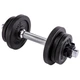 Гантель розбірна чавунна Body Sculpture BW 780LX1, 10 кг - зображення 1