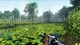 Ключ активации The Fisherman - Fishing Planet для Xbox One/Series - изображение 4