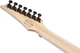 Электрогитара Ibanez RG7420EX BKF - изображение 8