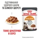 Консервированный корм Royal Canin Hair & Skin Care wet in gravy Влажный корм (кусочки в соусе) для поддержания здоровья кожи и красоты шерсти у кошек (от 12 месяцев) 85 г (40710010) - изображение 2