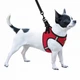 Амуниция Bronzedog Sport Vest Шлея для собак мелких и средних пород, красная М (76503/Т) - изображение 3