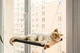 Лежаки Pet Joy Гамак на окно для кота brown+gray 1 шт (wbrown1gray) - изображение 3